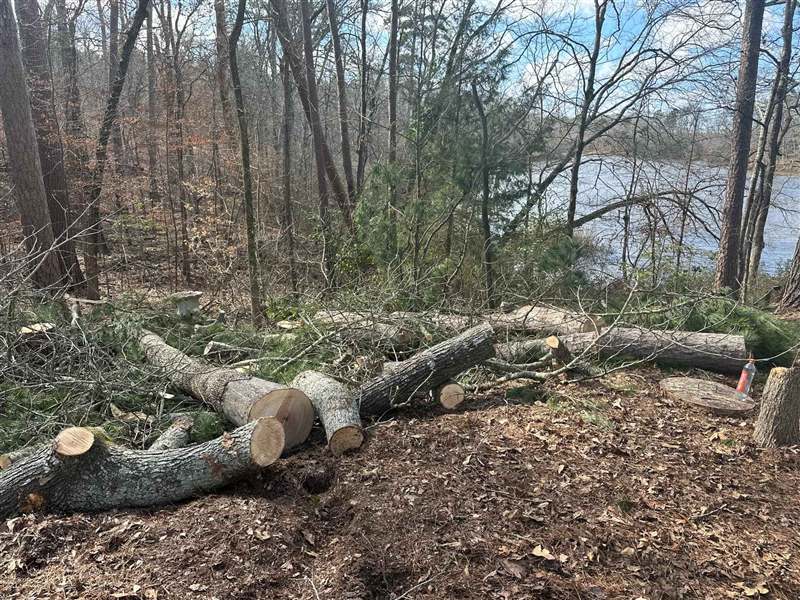 Tree Trimming & Removal in Canton, TX
