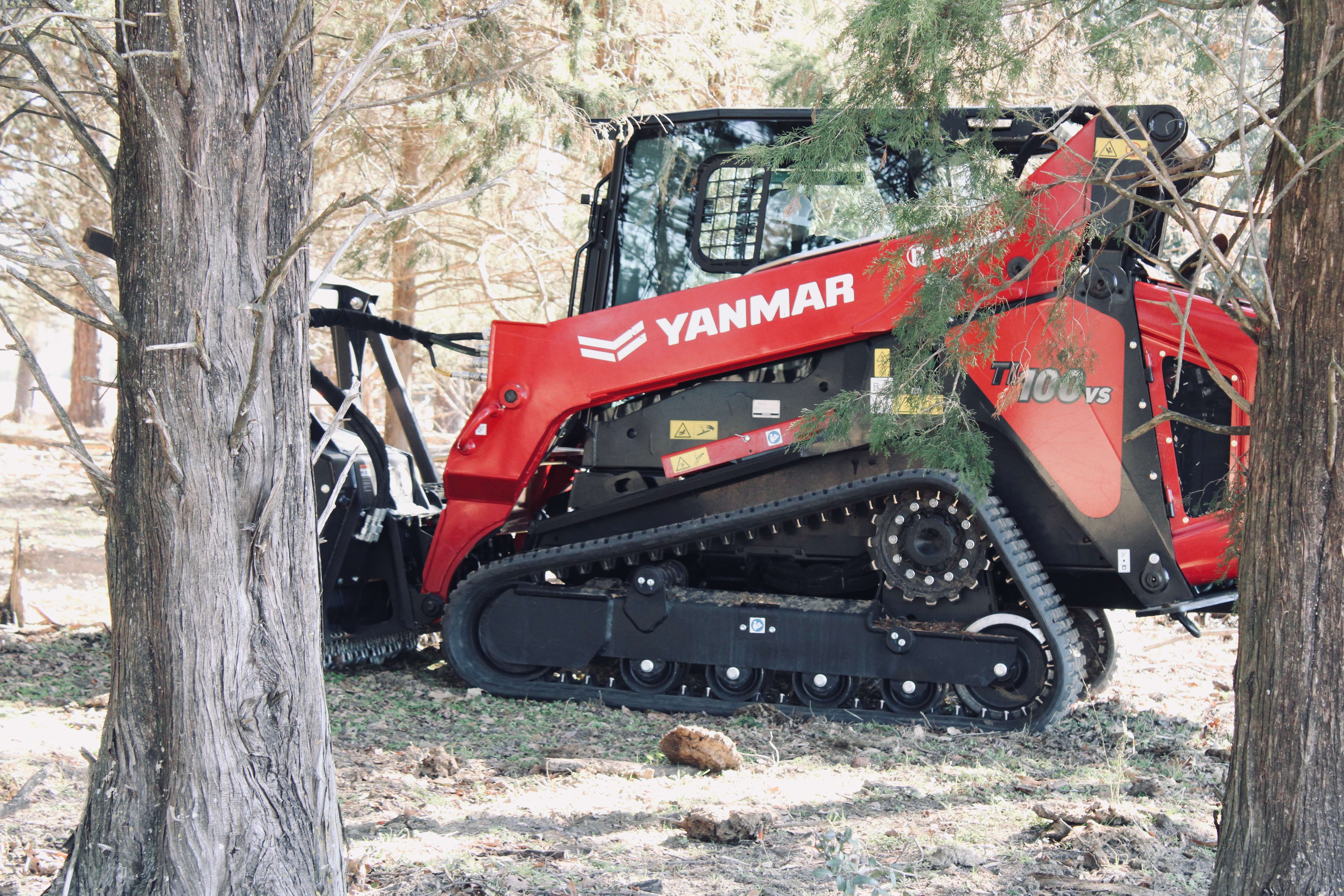Forestry mulching skid steer clearing underbrush