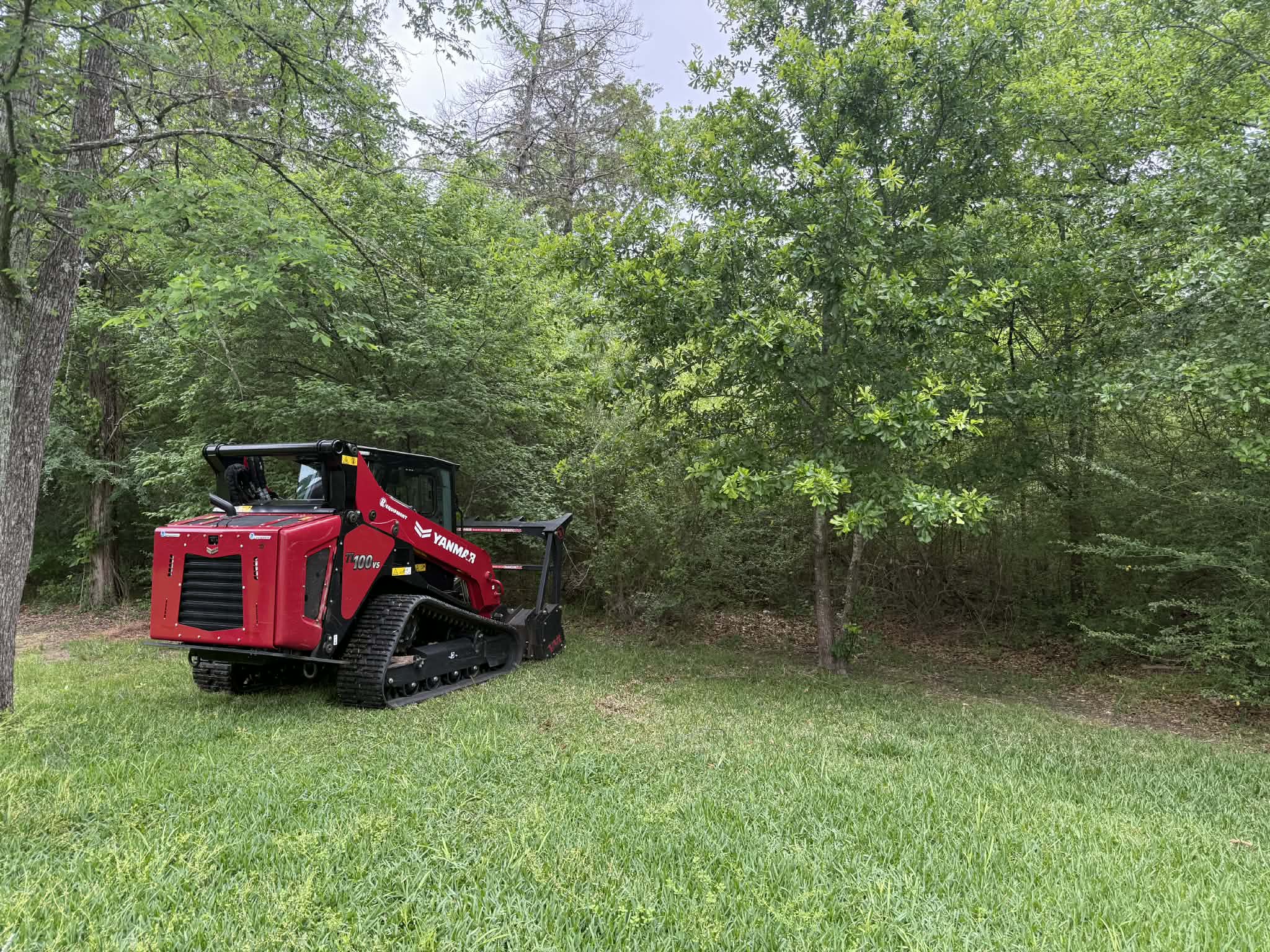 Fence row clearing along property line