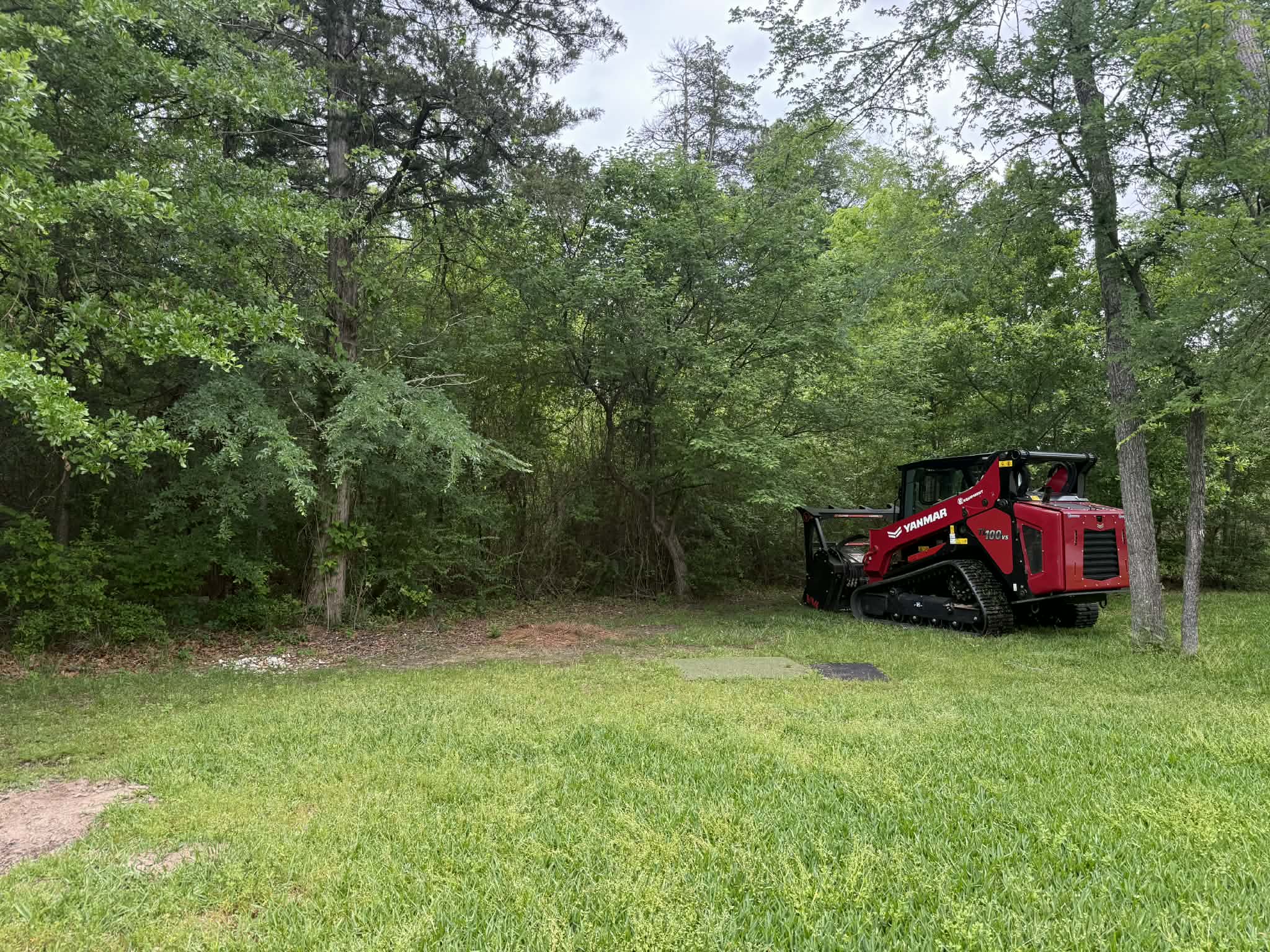 Stump grinding ground to grade